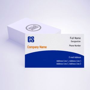 visiting card business design for company secretary format design sample firm guidelines images blue and gray background