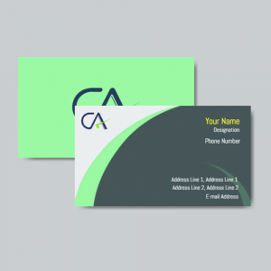 Chartered Accountant  ca visiting card format design sample firm guidelines  images