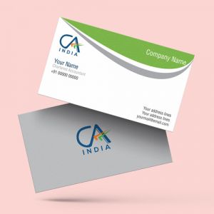 chartered_accountant_ca_visiting_card_new_logo_format_design_sample_firm_image