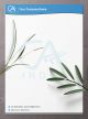 Unique letterhead designs for Chartered Accountant firms: Designs that stand out from the crowd, featuring unconventional layouts, distinct color combinations, or original graphic elements to make a memorable impression.