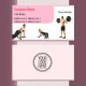 fitness centre- club- wellness- gym trainer visiting card design ideas images background psd designs online free template sample format free download