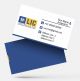 LIC Agent visiting card, White Yellow, and Blue Background, Best Design, online, insurance advisor, business card design, white blue color background