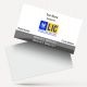 life insurance advisor LIC Agent  visiting business card online design format template sample images download