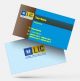 life insurance advisor LIC Agent  visiting business card online design format template sample images download Yellow, Blue, brown  top lic agent visiting card design online free sample with format & background sample 