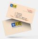 life insurance advisor LIC Agent  visiting business card online design format template sample images download in peach colour