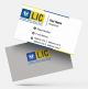 life insurance advisor LIC Agent  visiting business card online design format template sample images download White Yellow, Blacktop lic agent visiting card design online free sample with format & background sample 