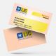 life insurance advisor LIC Agent  visiting business card online design format template sample images download peach and Yellow color